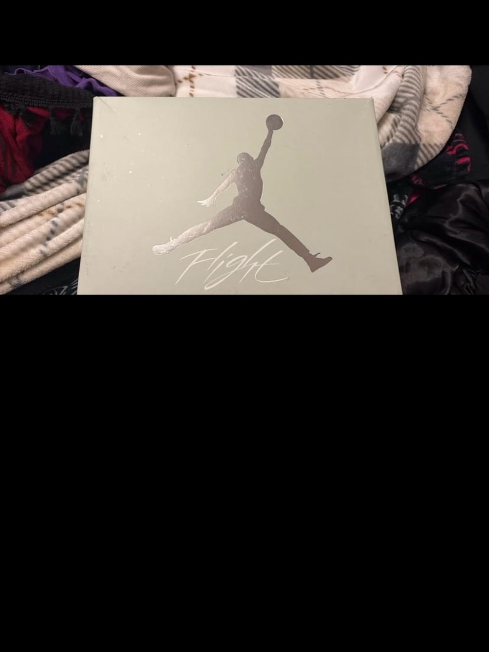 Jordan WMNS Air Jordan 4 Retro Box - Light Gray with Metallic Silver Jumpman